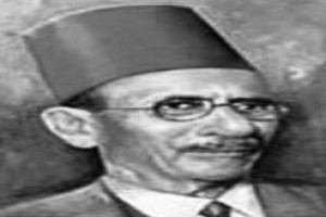صورة المؤلف أحمد لطفي صورة المؤلف أحمد لطفي